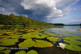 Bildband Mueritz-Nationalpark Motiv Granziner See Sandra Bartocha